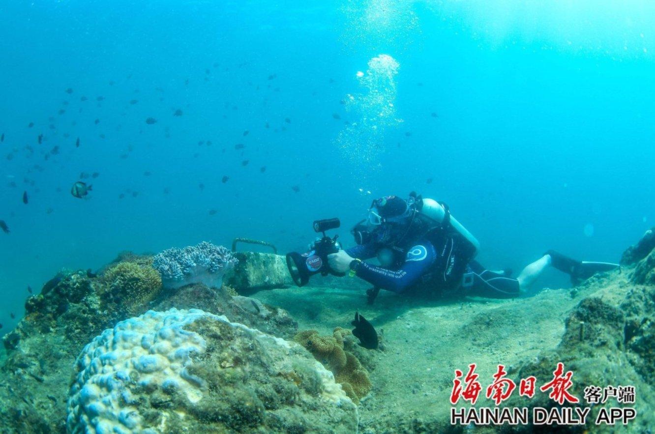 全民烧脑3去广告版