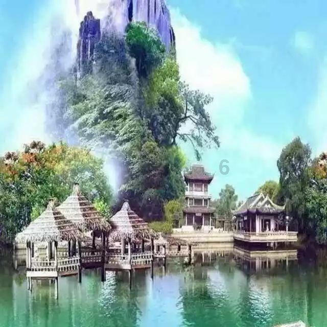 动物帮帮忙保卫家园